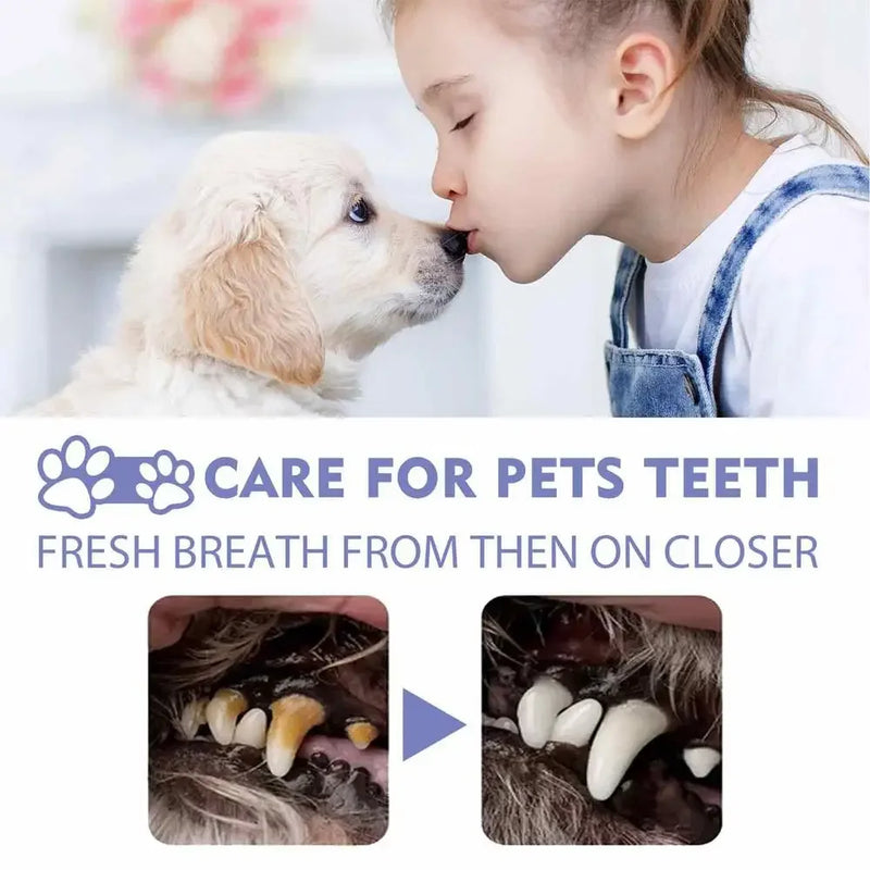 Spray Bucal para Pets 50ml - Limpeza Oral para Cães e Gatos, Hálito Fresco, Limpeza dos Dentes, Desodorante Bucal, Prevenção de Cálculo Dental, Elimina o Mau Hálito de Filhotes, Produtos para Animais de Estimação