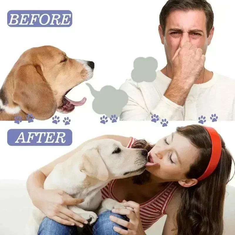 Spray Bucal para Pets 50ml - Limpeza Oral para Cães e Gatos, Hálito Fresco, Limpeza dos Dentes, Desodorante Bucal, Prevenção de Cálculo Dental, Elimina o Mau Hálito de Filhotes, Produtos para Animais de Estimação